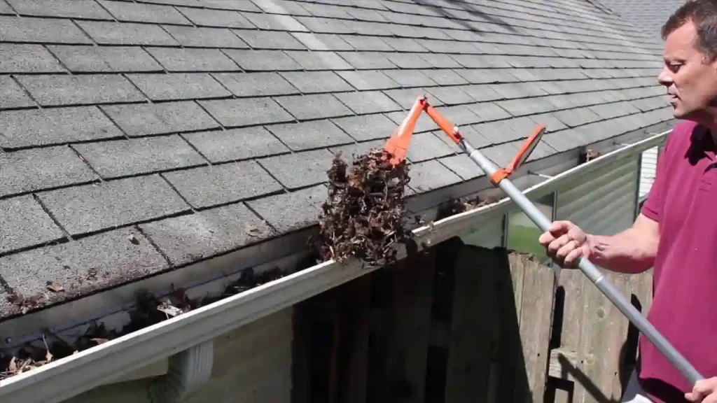 Roof Cleaning service