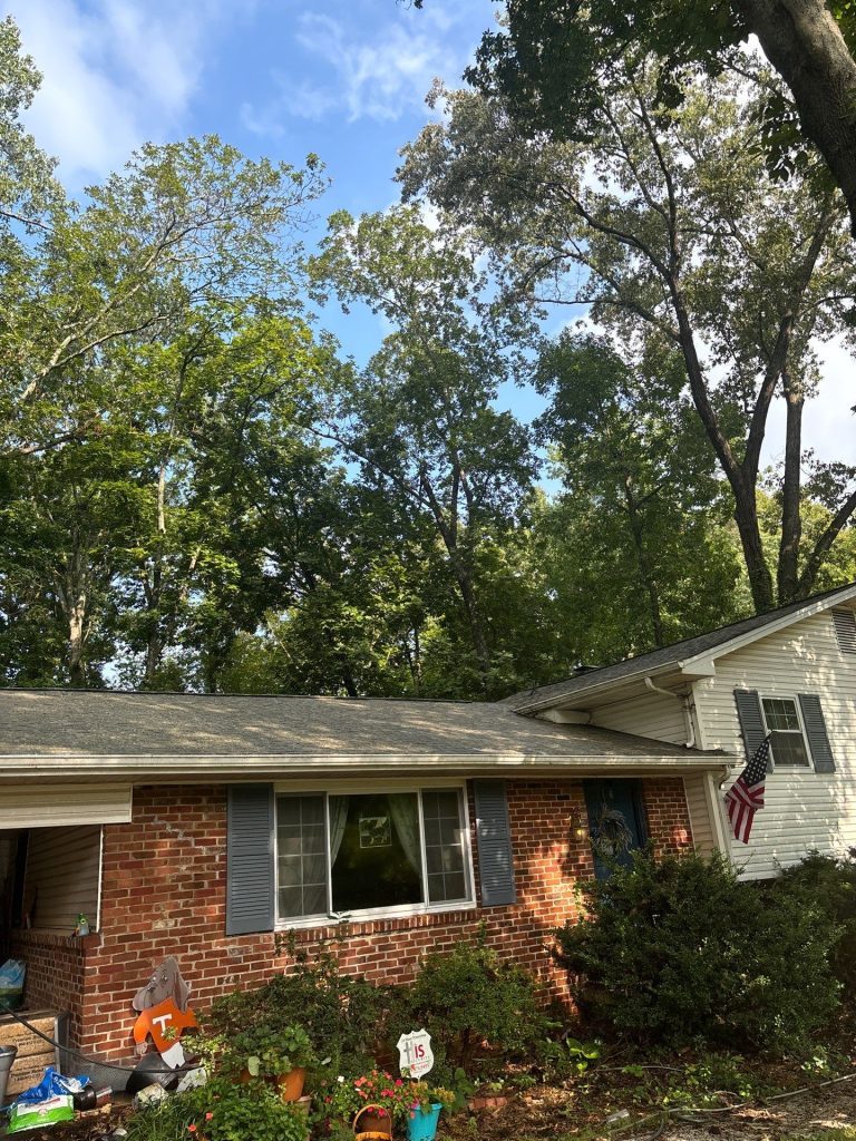 roof cleaning ﻿Knoxville Tennessee